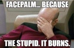 Faceplam Stupid