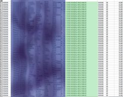 Data-Analysis-Duke Carolina Chaos
