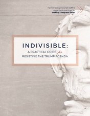 indivisible Guide Facebook