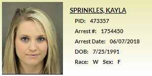 Kayla Sprinkles - Cherokee MCSO Record