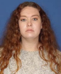 Sampson County Schools sub charged with sex crimes involving student